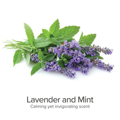 2-in-1 Grain-Free Organic Shampoo & Conditioner (Lavender & Mint)