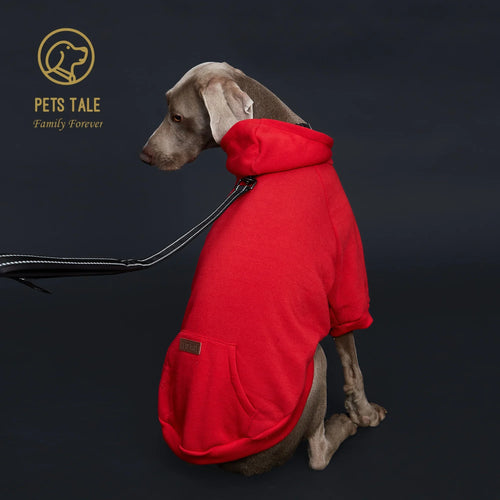 Colorful Dog Hoodie with Pocket & Leather Patch — Cozy Pet Hoodie
