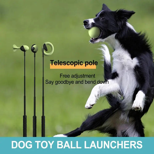 Retractable Dog Ball Launcher - 23.6 Carbon Fiber Throwing Pole