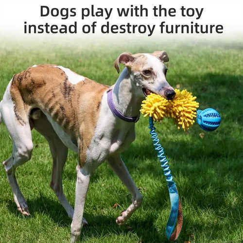 Interactive Squeaky Dog Rope Toy with Elastic Drawstring