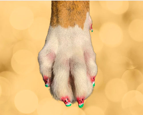 Pawdicure Polish Pens - Choose From 13 Colors! - Dog Nail Polish