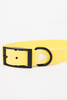 The Modern Dog Company - Daffodil Yellow Collar (Weather + Odor Resistant)