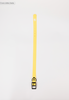 The Modern Dog Company - Daffodil Yellow Collar (Weather + Odor Resistant)