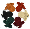 Winter Warm Knitted Turtleneck Sweater for Small Dogs or Cats