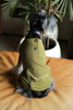 CHILL VEST SHIRT - GREEN