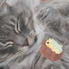Handmade Catnip Toy | Harold the Hedgehog – A Chunkle Puff Infused with Miracle Nip Botanicals