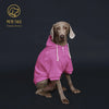 Colorful Dog Hoodie with Pocket & Leather Patch — Cozy Pet Hoodie