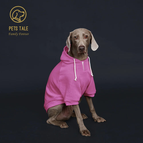 Colorful Dog Hoodie with Pocket & Leather Patch — Cozy Pet Hoodie