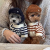 Bear Knit Dog Sweaters