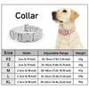 Luxury Bow Dog Collar Set | Cotton & Polyester | XS–XL | With Leash & Poop Bag