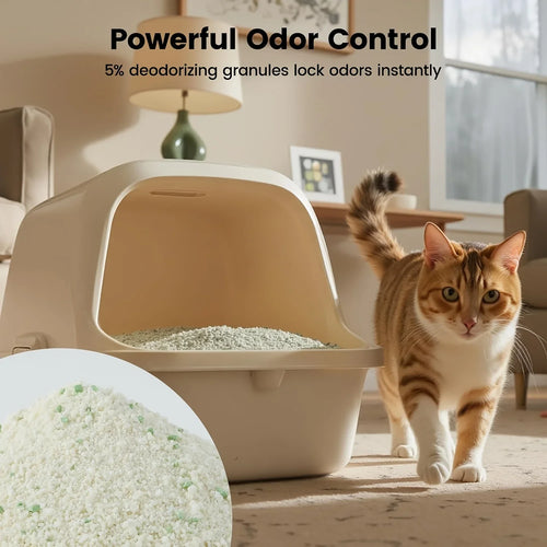 1 Nomipaw Cassava Cat Litter | Clumping, Odor Control, Ultra Absorbent and Fast Drying, Plant-Based Natural, Low Tracking, Unsce