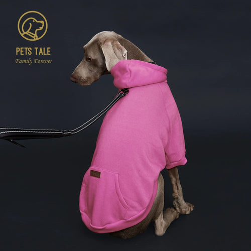 Colorful Dog Hoodie with Pocket & Leather Patch — Cozy Pet Hoodie