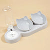 Pet Bowls With Water Feeder, 3 In 1 Water Bottle For Neck Protection