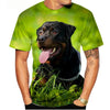 Dog T-Shirts Rottweiler 3D Print Men Women Streetwear Short Sleeve Round Neck T Shirt Casual Tops Harajuku Tees Men's Clothing