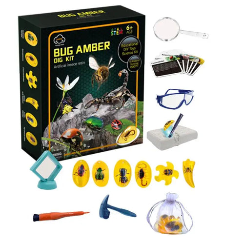 Fly Amber Excavation Kit - STEM Science Dig Set with Tools