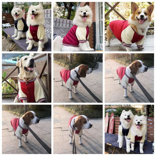 Big Dog Baseball Suit