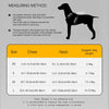 HP374--Retro Pet Harness for dogs，Adjustable webbing and High-quality PU Leather，Breathable mesh lining.