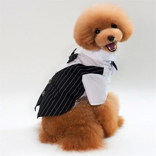 English Style Gentleman Dog Dress Puppy Suit with Tie for Formal Occasions Four Seasons Wedding Pet Photo Teddy Clothes