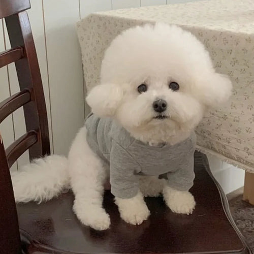 Letter Print Dog Hoodie