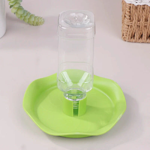 Reptile Water Drinker Dispenser Food Bowl Lizard Gecko Feeder Round Dish Turtle Water Bowl Drink Bottle Reptile Feeders