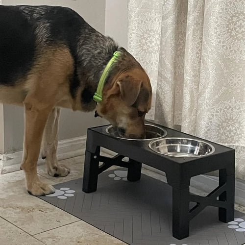 Adjustable Raised Dog Feeder with Double Stainless Steel Bowls