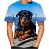 Dog T-Shirts Rottweiler 3D Print Men Women Streetwear Short Sleeve Round Neck T Shirt Casual Tops Harajuku Tees Men's Clothing
