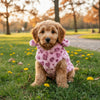 Fashion Leopard Print Dog Clothes Warm Fleece Thickened Dog Coat Jacket Teddy Pet Padded Coat Cat