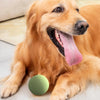 Retractable Dog Ball Launcher - 23.6 Carbon Fiber Throwing Pole
