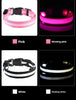 LED Glow Dog Collar & Leash | Nylon Night Safety Flashing Collar