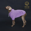 Colorful Dog Hoodie with Pocket & Leather Patch — Cozy Pet Hoodie