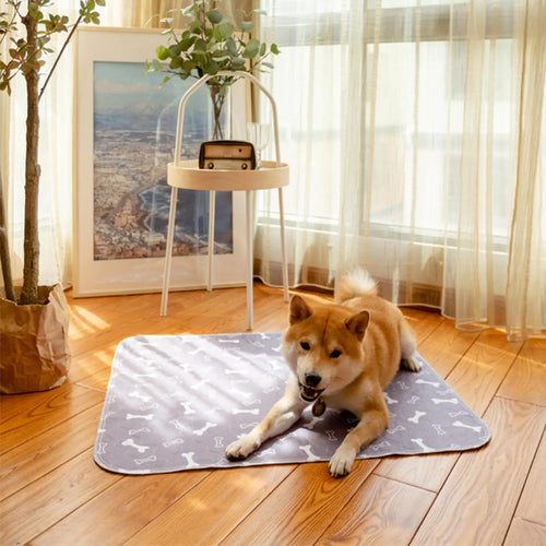 Dog Pee Pads Fast Absorbent Pet Training Mat Leak-Proof Pet Training Pads for Dogs Indoor for Pee Cats Potty Training pee pads