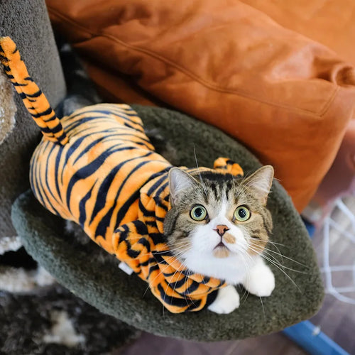 Soft Fleece Pet Dog Hoodie Jumpsuit for Small Dogs & Cats