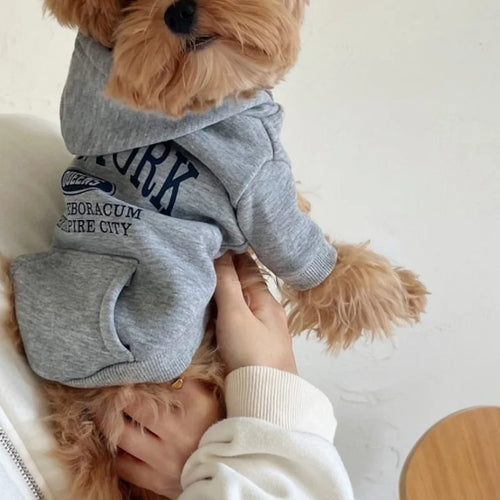 Letter Print Dog Hoodie