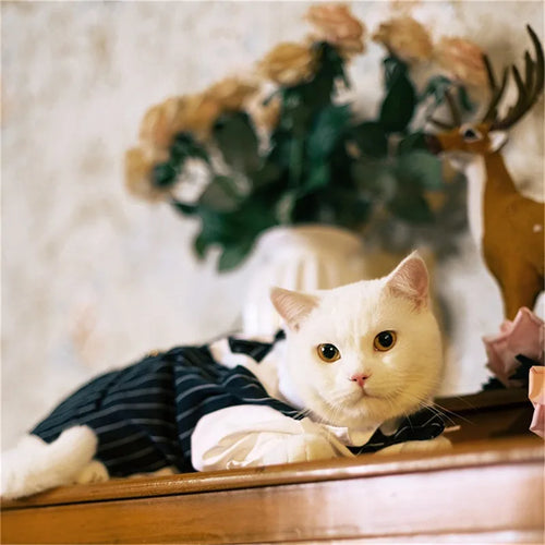 English Style Gentleman Dog Dress Puppy Suit with Tie for Formal Occasions Four Seasons Wedding Pet Photo Teddy Clothes