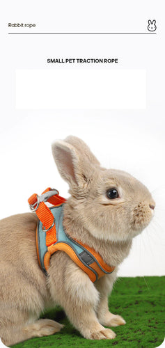 Rabbit Walks Adjustable Bunny Harness and Leash Set Double Buckle with Reflective Strips Rabbit Vest Pets Stuff Suitable