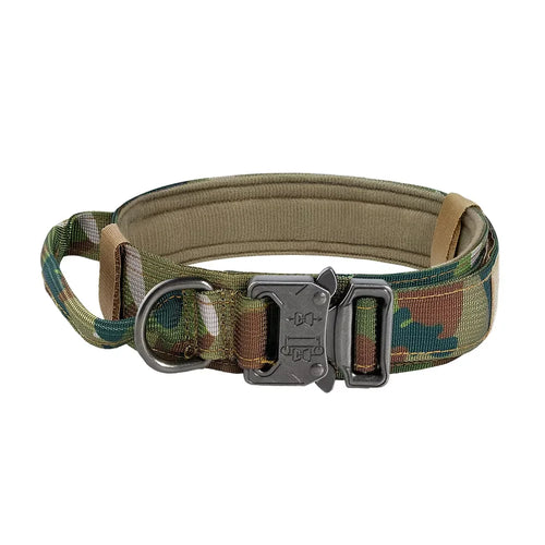 Tactical Dog Collar with Control Handle — 1000D Nylon, Double Closure & D-Ring | Collar Only or Collar & Leash Set | M–XL