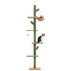 PAWZ Road 5-Tier Floor to Ceiling Cactus Cat Tree - Green