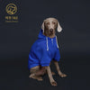 Colorful Dog Hoodie with Pocket & Leather Patch — Cozy Pet Hoodie