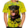 Dog T-Shirts Rottweiler 3D Print Men Women Streetwear Short Sleeve Round Neck T Shirt Casual Tops Harajuku Tees Men's Clothing