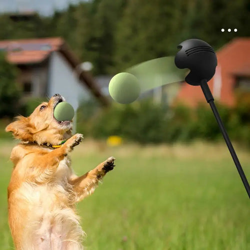 Retractable Dog Ball Launcher - 23.6 Carbon Fiber Throwing Pole