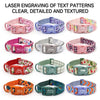 Luxury Bow Dog Collar Set | Cotton & Polyester | XS–XL | With Leash & Poop Bag