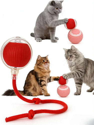 Pet Toy Ball with Tail Rope，Smart Automatic Pet Chase Ball Toy, Upgraded Speedy Tail Kitten Toy for Bored Indoor Adult Pets