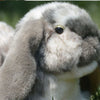Realistic Lop Ear Rabbit Plush Toy, Lop Rabbit Plushie, Lifelike White Brown Bunny Stuffed Animal, Holland Lop Simulation Doll