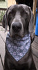 Every Day Dog Bandanas