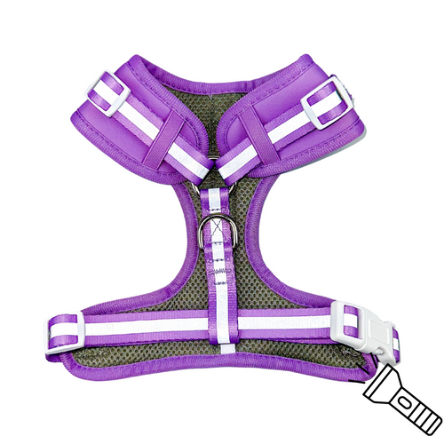 Shine Bright - Amethyst Adjustable Harness