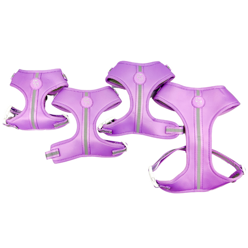 Shine Bright - Amethyst Adjustable Harness