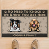 No Need To Knock We Know You Are Here Personalized Custom Photo Dog Cat Doormat C707