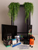 Size 24: 24x24x48 Deluxe All-In-One WIFI Controlled Automated Chameleon kit