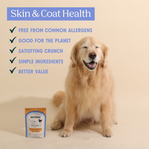 Skin & Coat Health