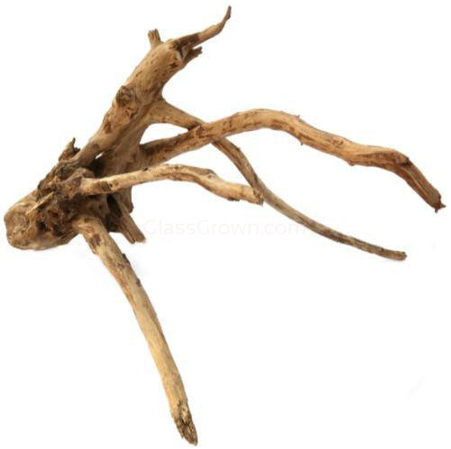 Spiderwood Driftwood Small (4-6)